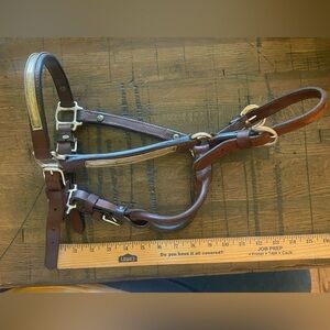 Vintage yearling horse show halter and lead. Leather/sterling silver accents.